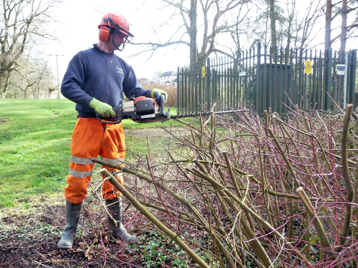 Bentham Caretaker hedge trimming