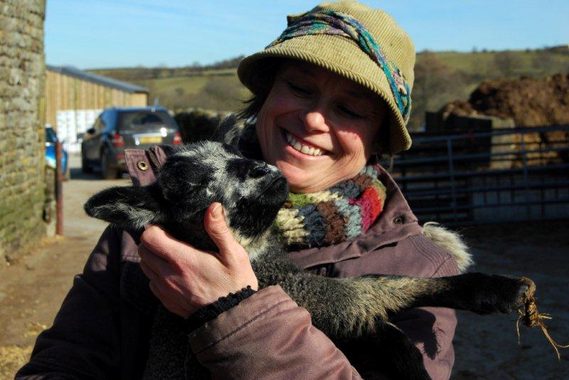 'Down on the Farm' is a YDMT project helping to forge links between farms and schools