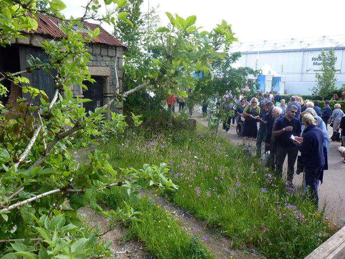  The Hay Time garden - a tranquil haven in the midst of buzzing Birmingham NEC