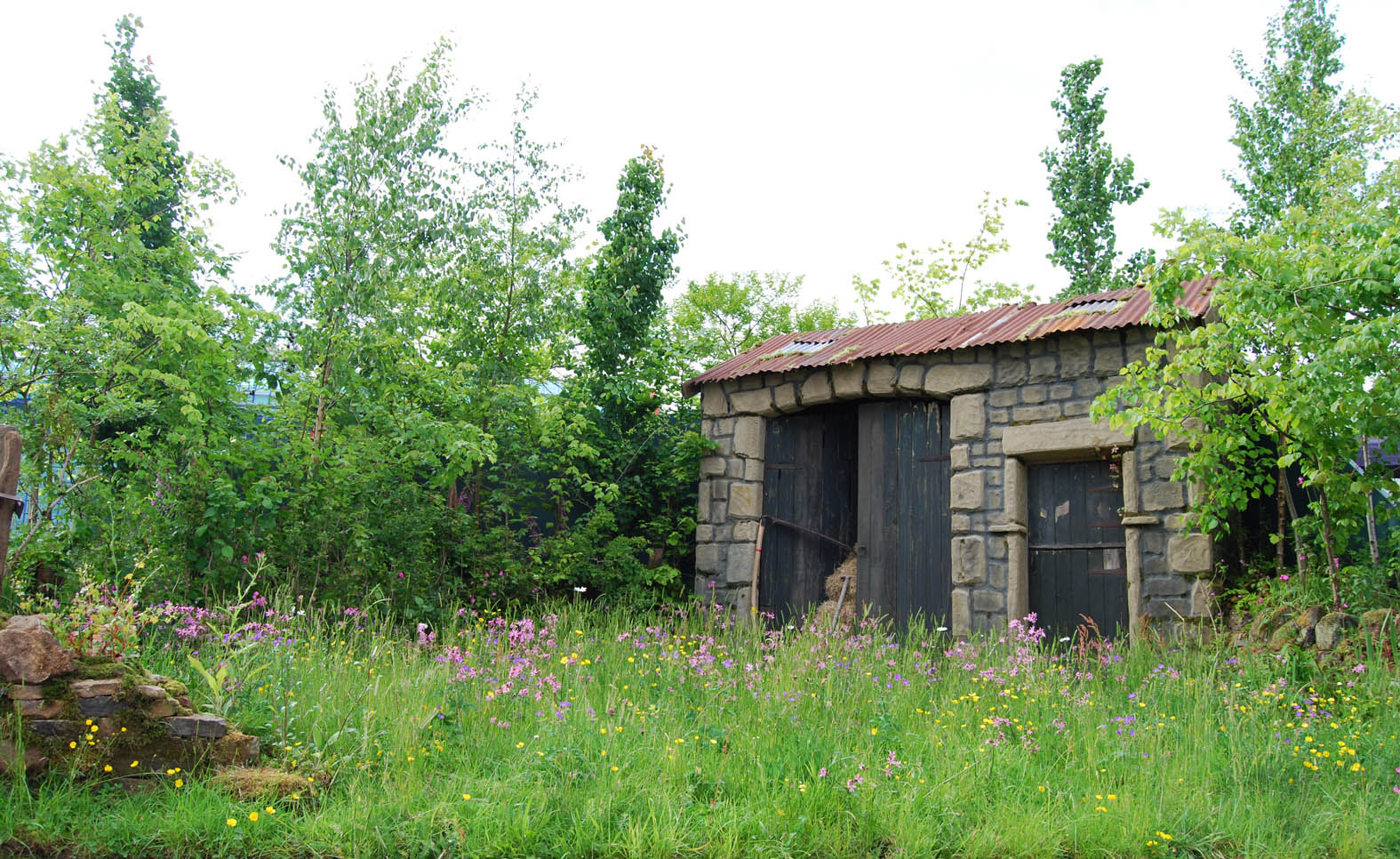 Our Hay Time garden at BBC Gardeners' World Live