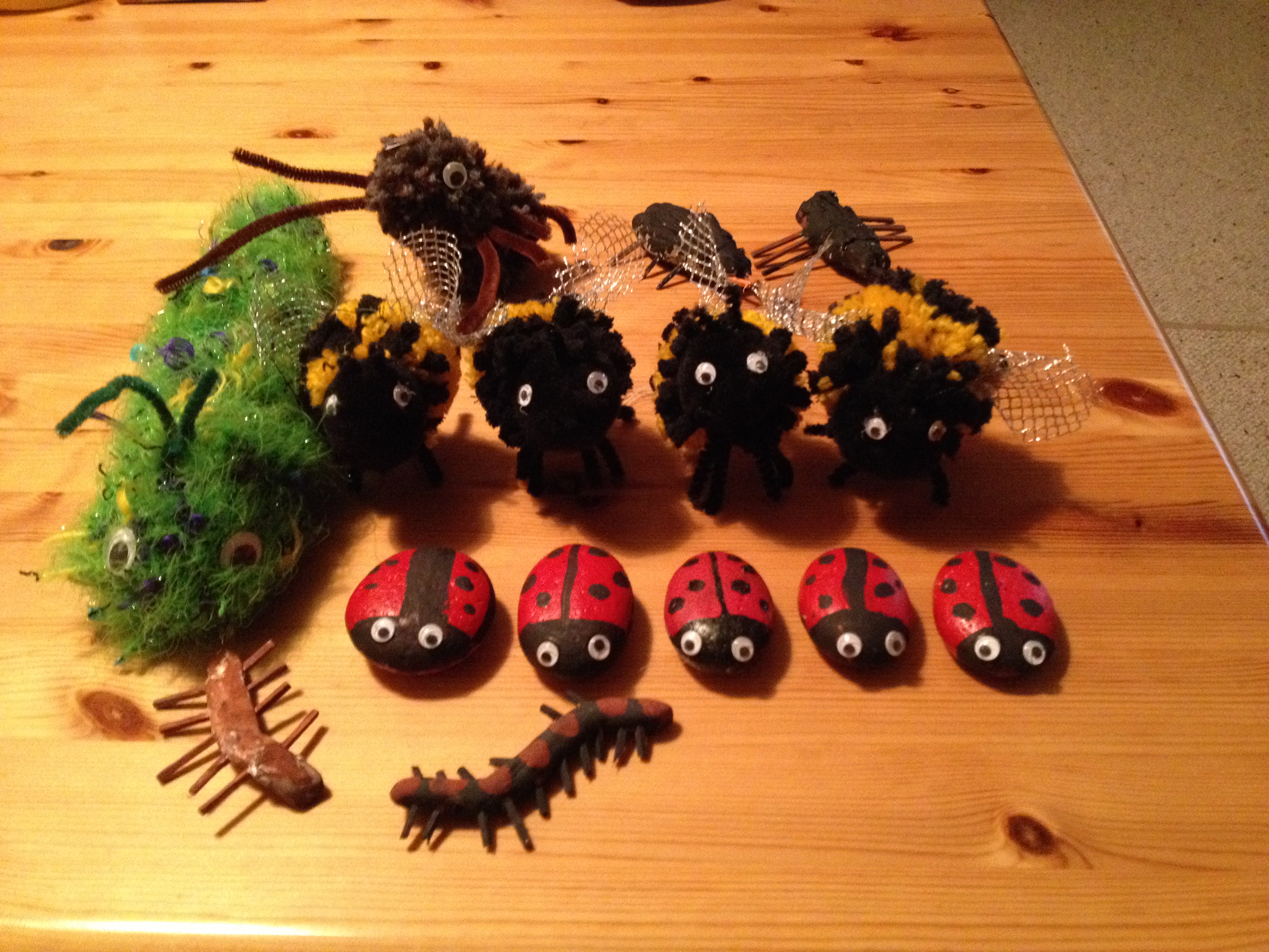 Beautiful Bugs!