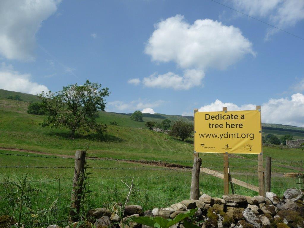 Dedicate a Tree Here!