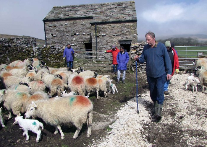 Farmer Rodney Beresford welcomes a refugee group to his farm in Ingleborough
