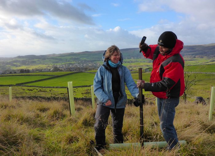 Tree planting in the Yorkshire Dales with Chris from Cooper King Distillery