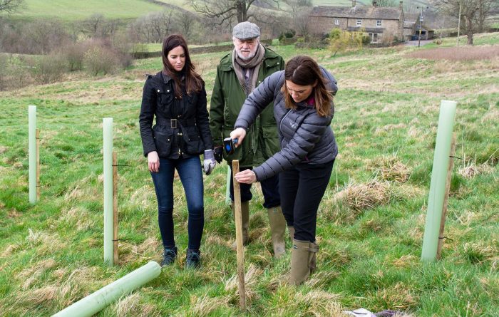 Tree planting in the Yorkshire Dales