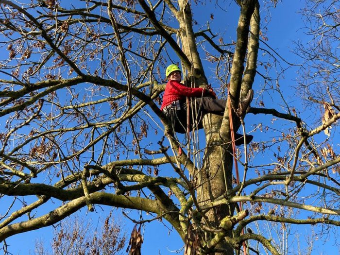 Chloe has recently completed a tree climbing course and next will be aerial rescue.