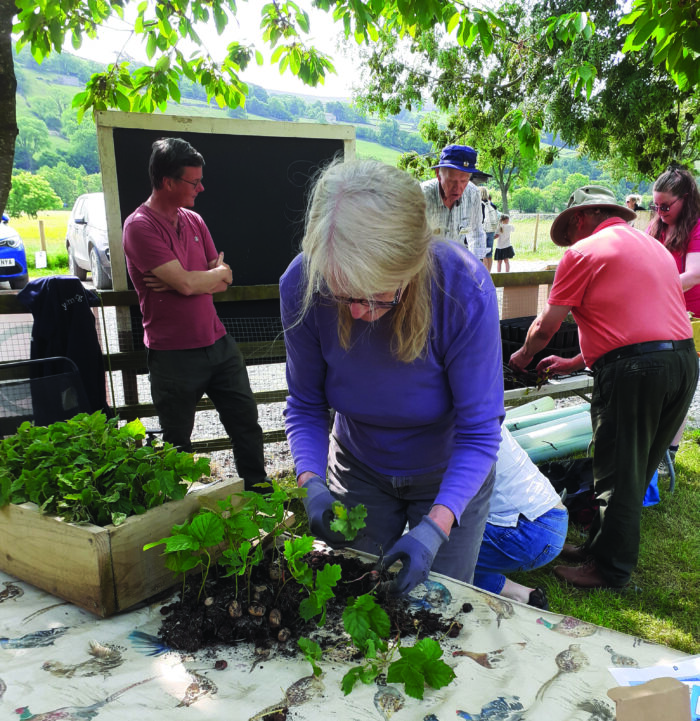 Yorkshire Dales community tree growing schemes