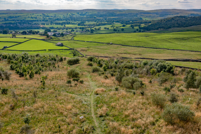 Aerial view of Pasture Wood 2021